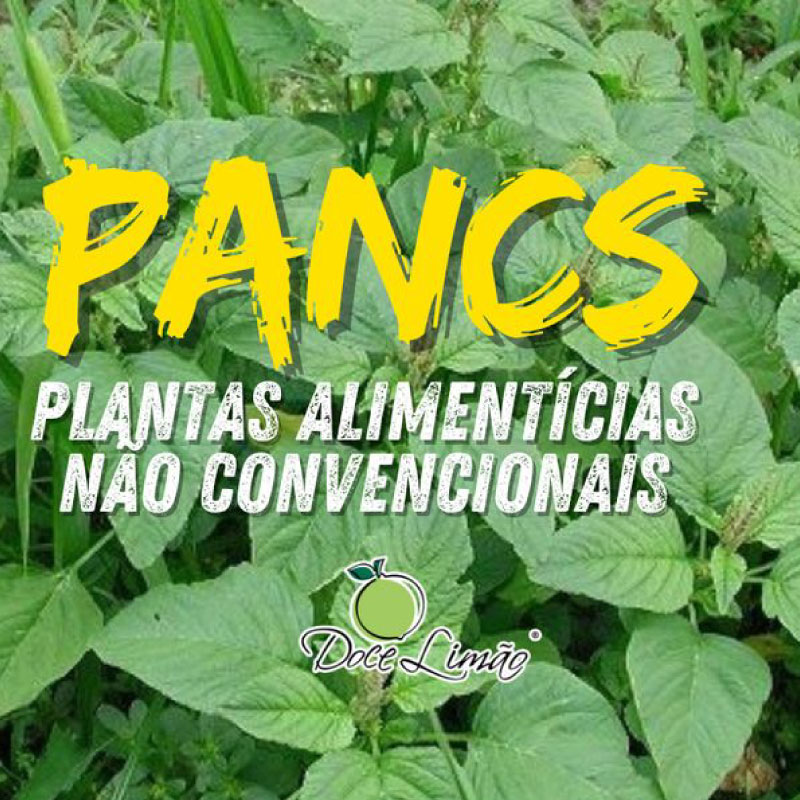 Curso Online Plantas Alimentícias Não Convencionais