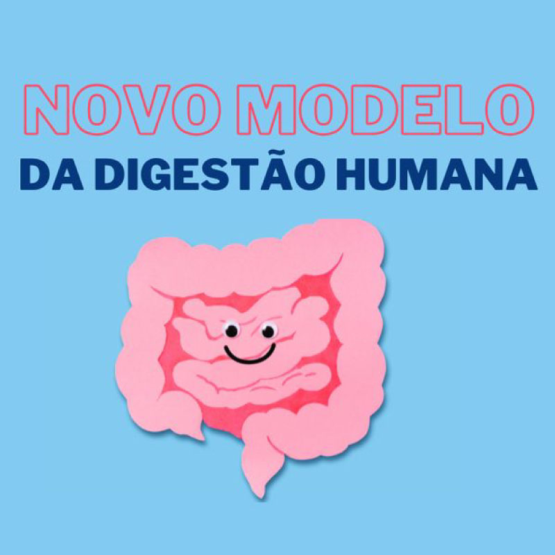 Curso Online Novo modelo da digestão humana