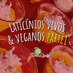 Curso Online Laticínios Vivos e Veganos 1