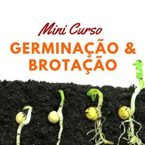 Mini Curso Online Germinação e Brotação